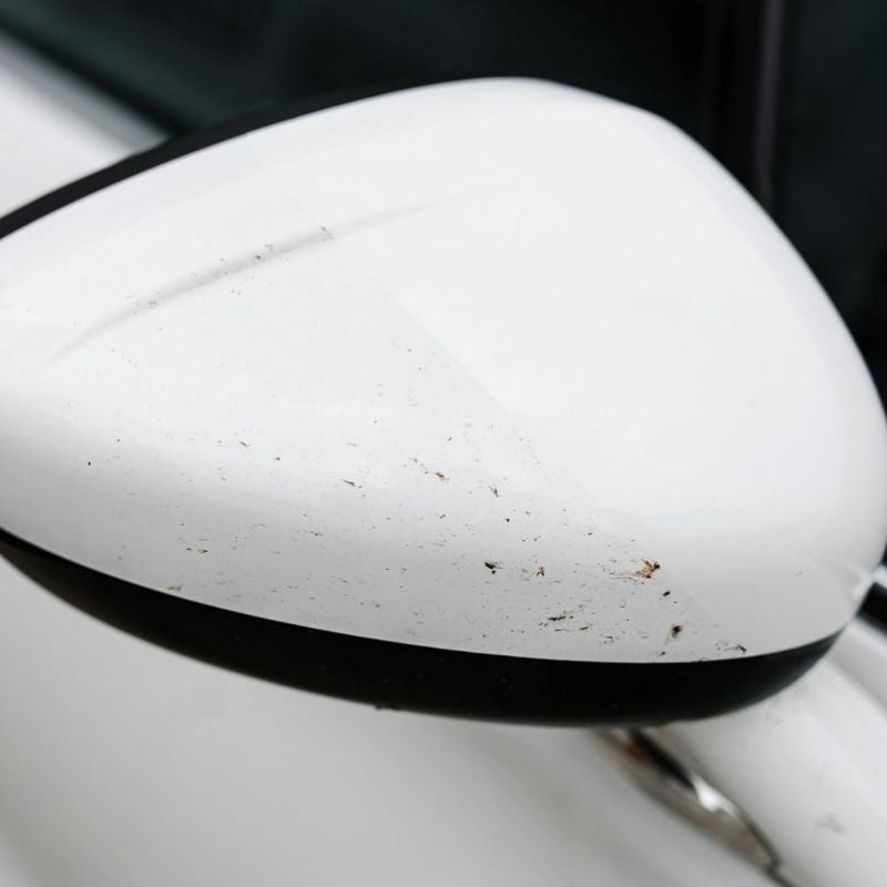 K2 PRO - Nuta Anti Insect Pro - Insektenentferner 1L_4